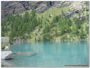 Scopri di più sull'articolo Val d’Ayas – Lago Blu 2009