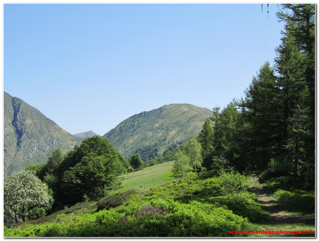 Scopri di più sull'articolo Val Grande – Monte Todano e Rifugio Pian Cavallone