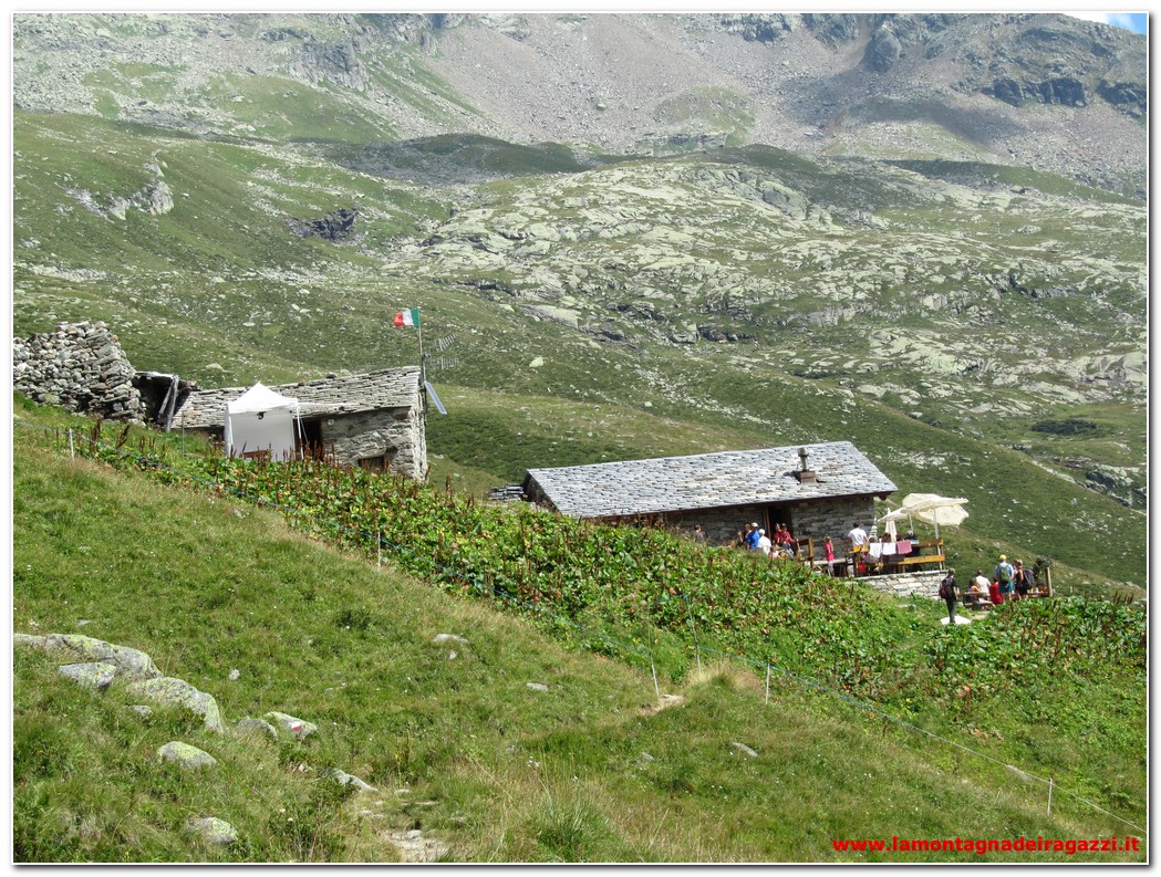 Al momento stai visualizzando Valsesia – Rifugio Barba Ferrero dall’Alpe Testanera