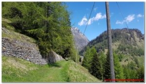 Read more about the article Alpe Devero – Goglio Devero sull’antica mulattiera