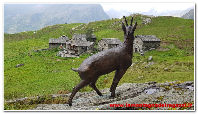 Scopri di più sull'articolo Valsesia – Alpe Campo