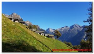 Scopri di più sull'articolo Valle Antigorio – Anello Salecchio, Alpe Vova, Rivasco