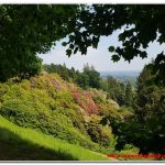 Biellese – Passeggiata al Parco Burcina