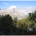 All'ingresso dell'Alpe sullo sfondo la Punta del Rebbio