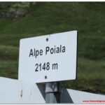 Alpe Pojala