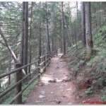 Sentiero di San Francesco nel bosco