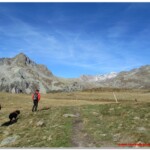Prateria alpina verso l'Alpe Forno