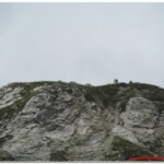 Mucche alpiniste dell'Alpe Curzalma