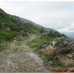 Sterrata verso l'Alpe Pizzo