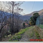 Sentiero A54 per Bracchio