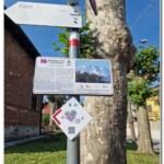 Indicazioni Indicazioni