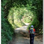 Nel bosco Nel bosco
