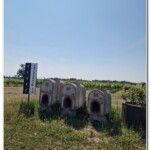 Contenitori per la fermentazione e conservazione del vino Contenitori per la fermentazione e conservazione del vino