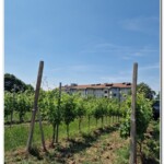 Casa di Cura I Cedri di Fara Novarese Casa di Cura I Cedri di Fara Novarese