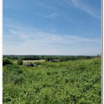 Panorama dalle vigne Panorama dalle vigne