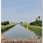 Canale Cavour a Mosezzo Canale Cavour a Mosezzo