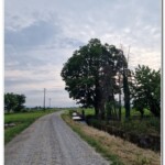 Campagna novarese Campagna novarese