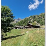 Scarpia Scarpia