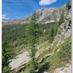 Sentiero verso il lago di Arza Sentiero verso il lago di Arza