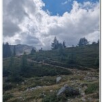 Sentiero verso l'Alpe di Monscera Sentiero verso l'Alpe di Monscera