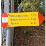 Indicazioni Indicazioni