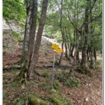 Alpe Vermenasca Alpe Vermenasca