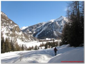 Read more about the article Valle di Cogne – Il bosco incantato di Sylvenoire